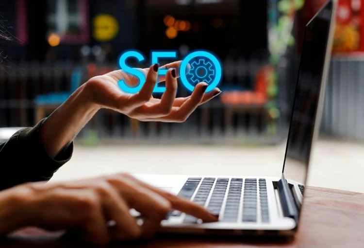 Çamardı Web Site Tasarımcı